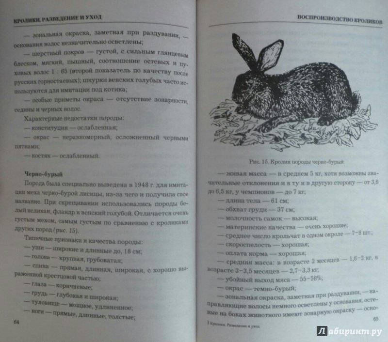 Иллюстрация 10 из 20 для Кролиководство. Разведение и уход | Лабиринт - книги. Источник: SiB