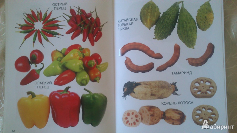 Иллюстрация 6 из 9 для Мои блестящие книжки. Овощи | Лабиринт - книги. Источник: Гришина  Юлия