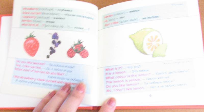 Иллюстрация 1 из 15 для Овощи и фрукты - Галина Шалаева | Лабиринт - книги. Источник: НаташкаVip