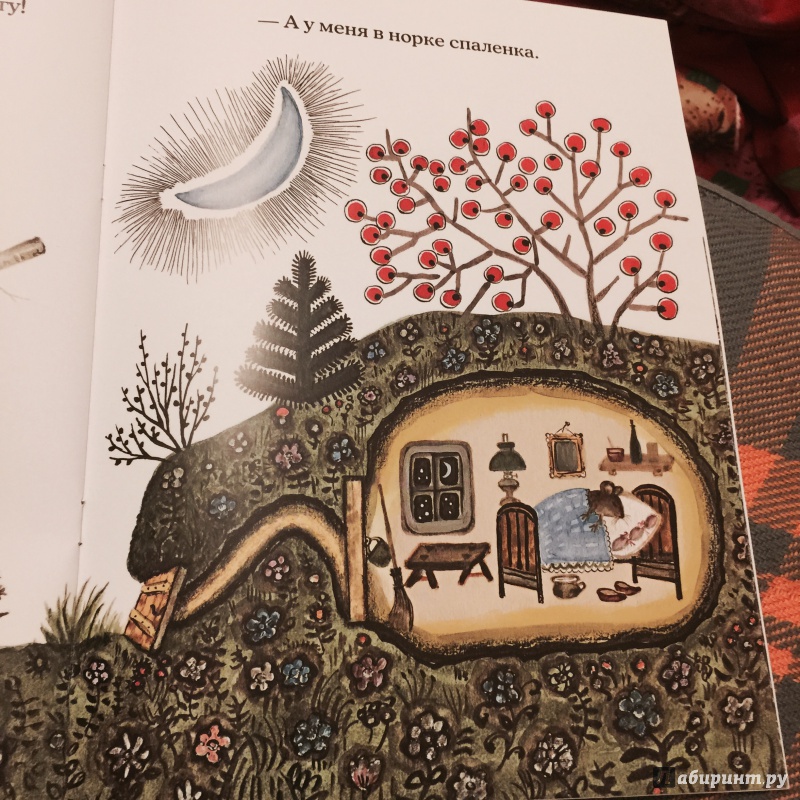 Иллюстрация 36 из 137 для Лис и мышонок - Виталий Бианки | Лабиринт - книги. Источник: Босамыкина  Анна