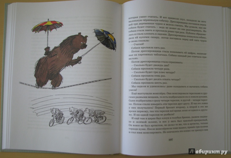 Иллюстрация 23 из 38 для Витя Малеев в школе и дома - Николай Носов | Лабиринт - книги. Источник: Штерн  Яна
