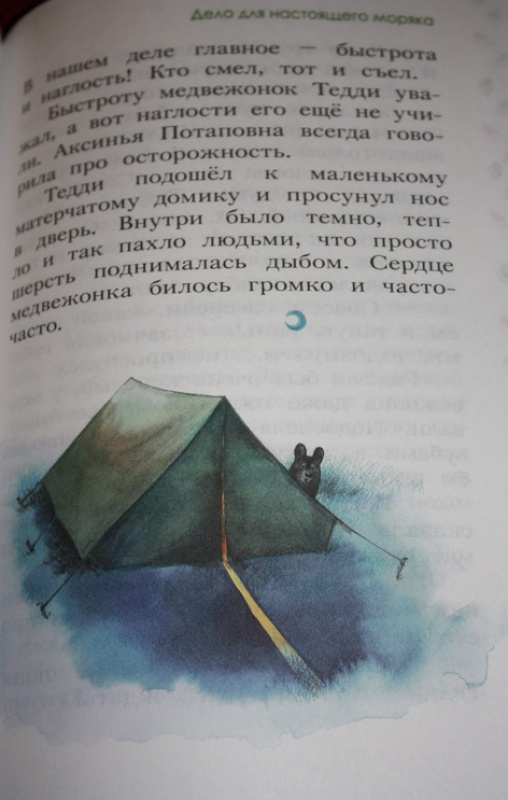 Иллюстрация 33 из 37 для Лето разноцветно-косолапое - Павел Калмыков | Лабиринт - книги. Источник: КНИЖНОЕ ДЕТСТВО