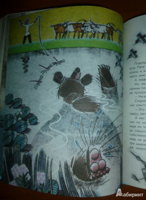 Иллюстрация 24 из 35 для Три сказки - Константин Паустовский | Лабиринт - книги. Источник: дева