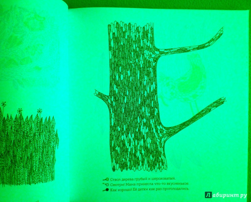 Иллюстрация 76 из 92 для Кто прячется в лесу? - Айна Бестард | Лабиринт - книги. Источник: reader*s