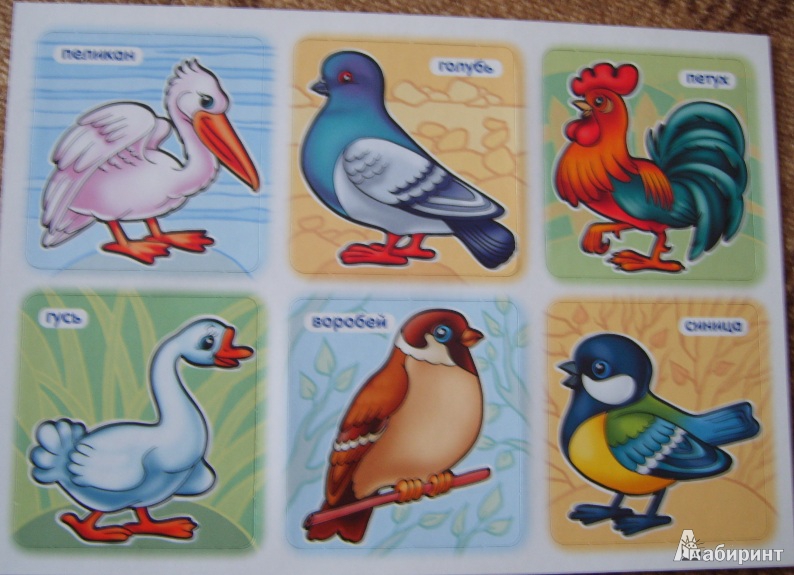 Иллюстрация 16 из 18 для Развивающая игра-лото для детей 3-5 лет "Птицы" (05262) | Лабиринт - игрушки. Источник: Tatka