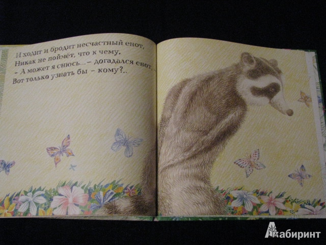 Иллюстрация 30 из 31 для Енот и бабочка - Александр Коняшов | Лабиринт - книги. Источник: Nemertona