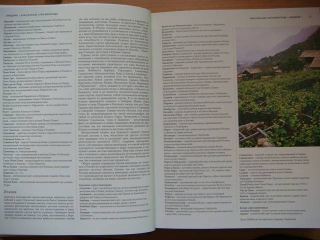 Иллюстрация 20 из 21 для Большой винный справочник Хью Джонсона - Джонсон Хью | Лабиринт - книги. Источник: Glitz