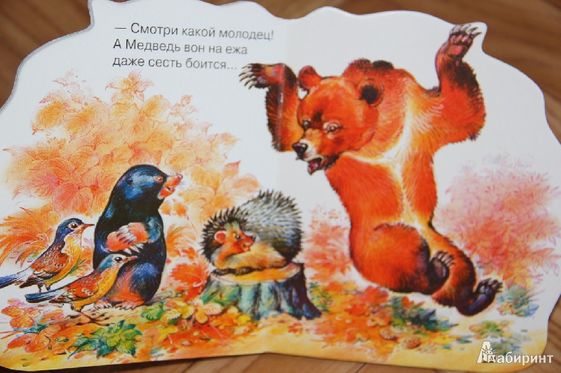 Иллюстрация 6 из 7 для Крот и филин - Николай Сладков | Лабиринт - книги. Источник: Vilvarin  Laurea