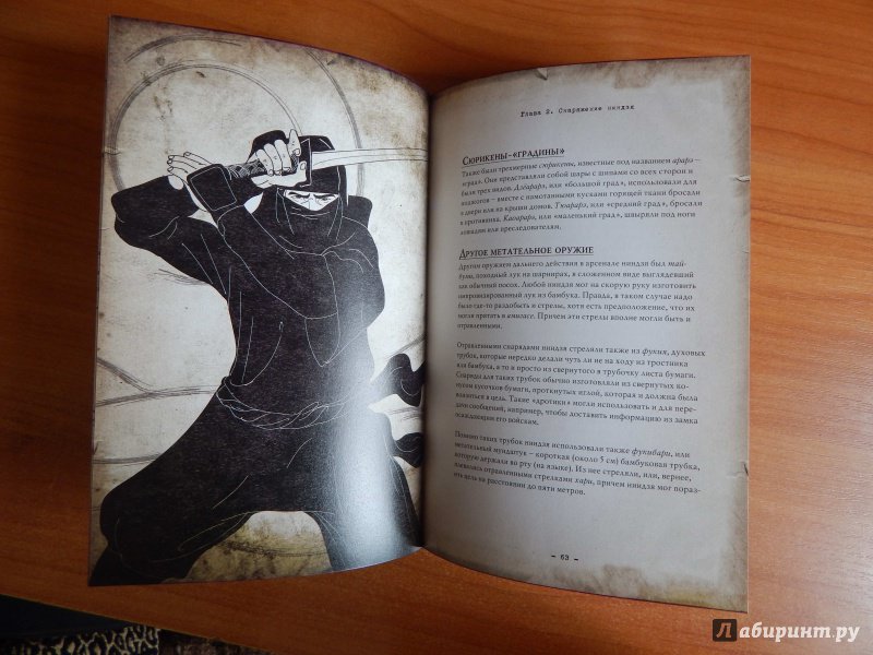 Иллюстрация 34 из 54 для Ниндзя. Воин тени - Джоэль Леви | Лабиринт - книги. Источник: komer45