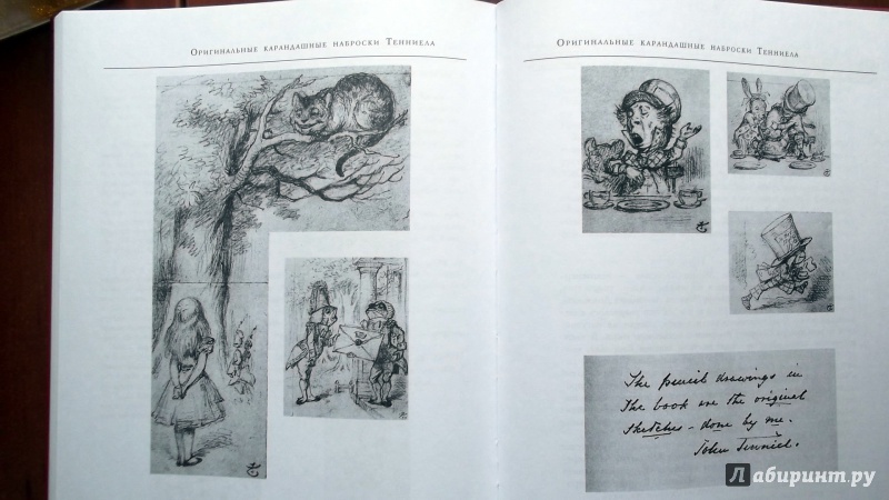 Иллюстрация 18 из 74 для Алиса в стране чудес. Алиса в Зазеркалье - Льюис Кэрролл | Лабиринт - книги. Источник: Panterra