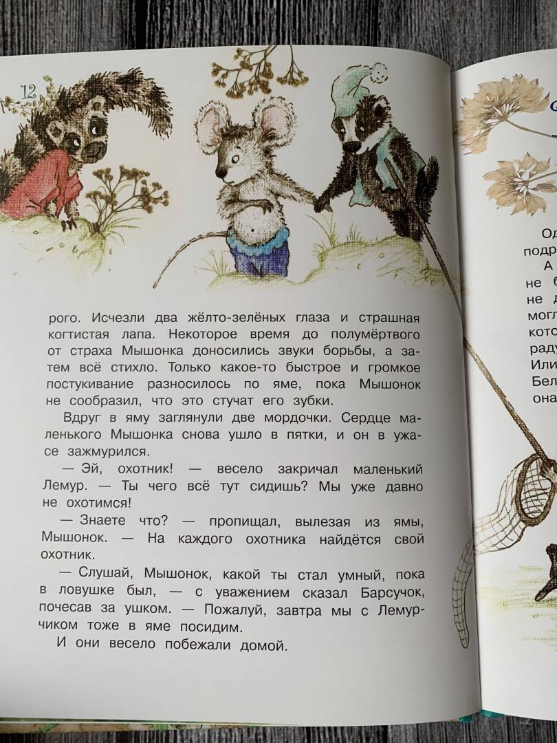 Иллюстрация 74 из 84 для Истории с хвостиком - Анна Юдина | Лабиринт - книги. Источник: K.  G