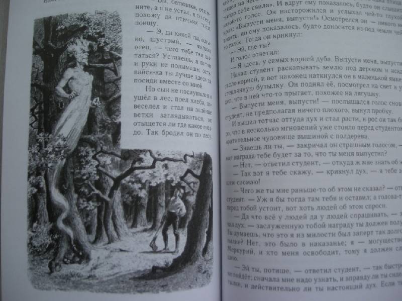 Иллюстрация 30 из 37 для Сказки - Гримм Якоб и Вильгельм | Лабиринт - книги. Источник: Мартынова  Анна Владимировна