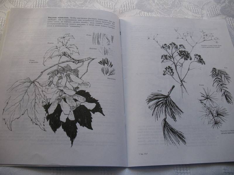 Иллюстрация 9 из 21 для Учитесь рисовать природу - Мойра Хантли | Лабиринт - книги. Источник: tayana