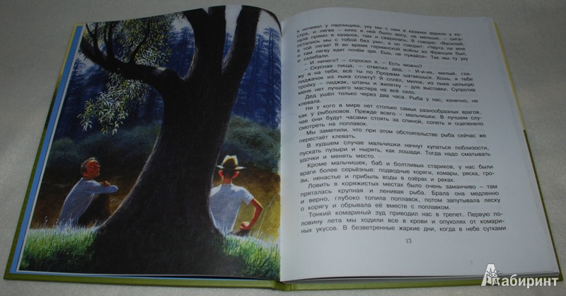 Иллюстрация 25 из 69 для Корзина с еловыми шишками - Константин Паустовский | Лабиринт - книги. Источник: Книжный кот