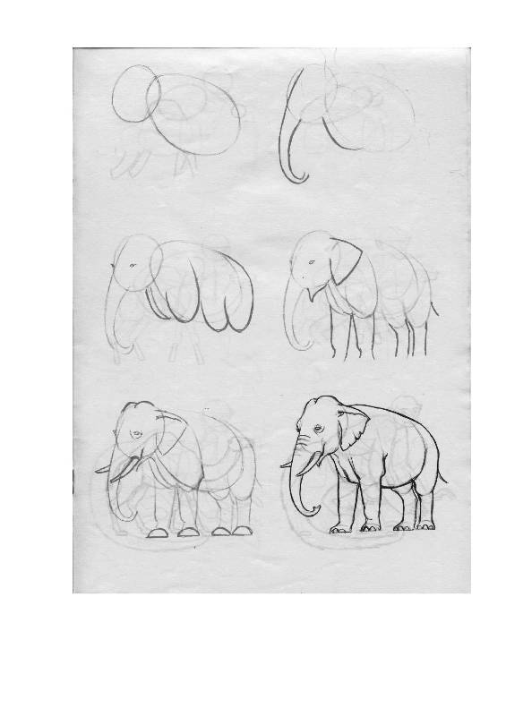 Иллюстрация 22 из 24 для Рисуем 50 животных - Ли Эймис | Лабиринт - книги. Источник: Юта