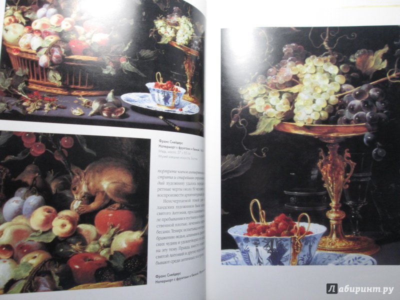 Иллюстрация 28 из 28 для Шедевры фламандской и голландской живописи - А. Киселев | Лабиринт - книги. Источник: bродяжник