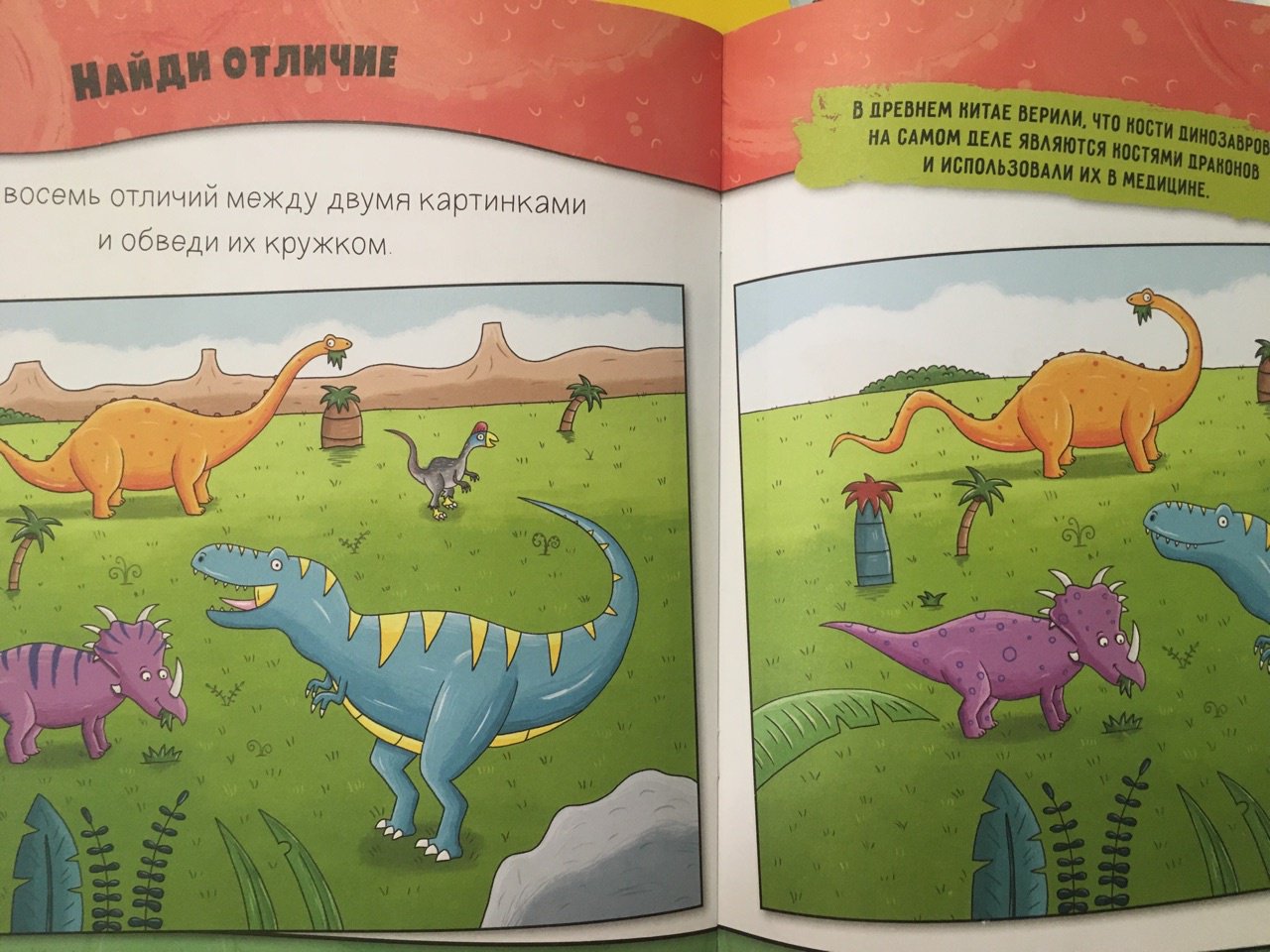 Иллюстрация 4 из 5 для Набор игровой 6 в 1 "Динозавры" | Лабиринт - игрушки. Источник: Виктория Калитвенцева