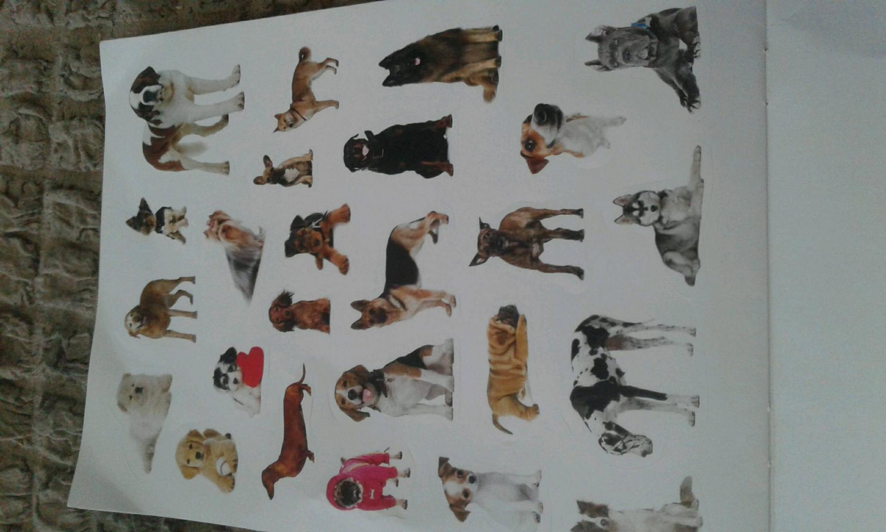 Иллюстрация 14 из 14 для 100 наклеек. Любимые собаки | Лабиринт - книги. Источник: Юшина  Надежда