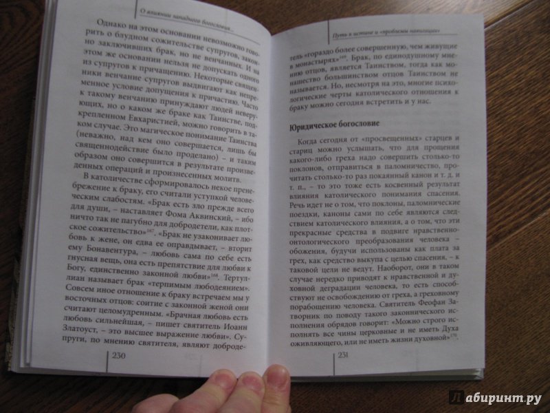 Иллюстрация 30 из 31 для Спор с самим собой. Духовная Брань в современном мире - Владимир Священник | Лабиринт - книги. Источник: Емельянова  Наталья Викторовна