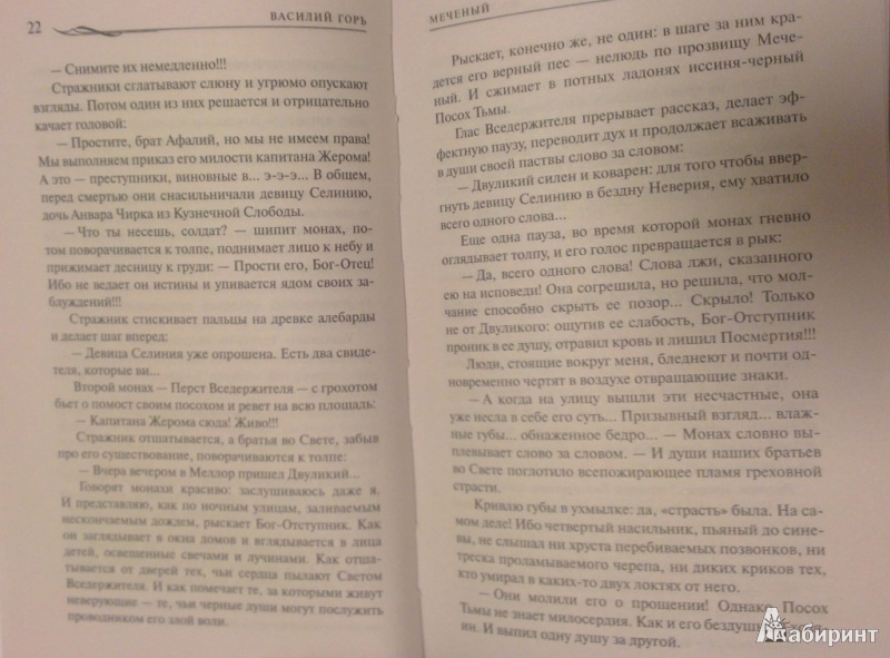 Иллюстрация 16 из 17 для Меченый - Василий Горъ | Лабиринт - книги. Источник: Katty