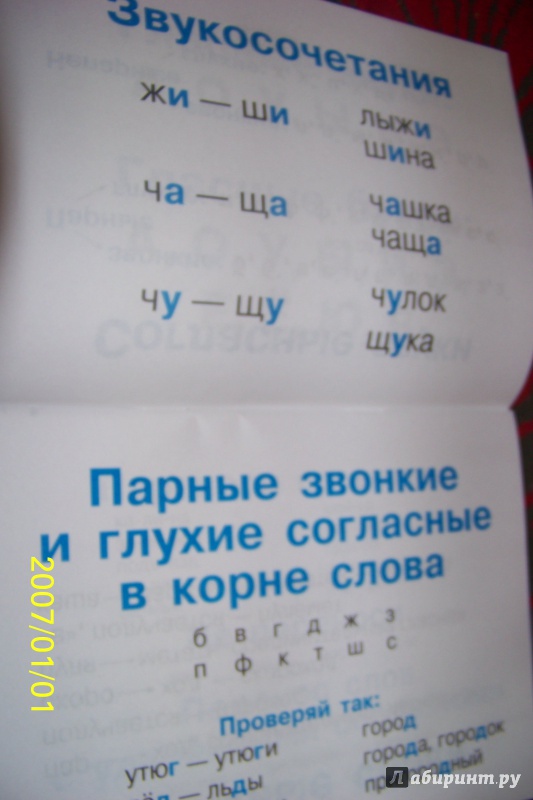 Иллюстрация 4 из 22 для Правила по русскому языку в таблицах и схемах | Лабиринт - книги. Источник: G