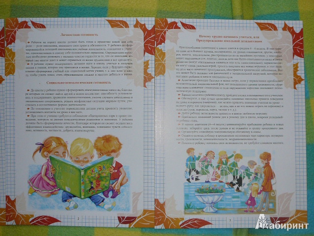 Иллюстрация 4 из 4 для Ребенок идет в школу. Рекомендации родителям будущих первоклассников - Ирина Пазухина | Лабиринт - книги. Источник: coldunl