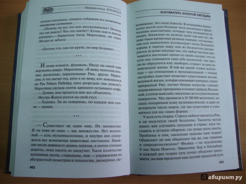 Иллюстрация 26 из 38 для Бразилья - Йен Макдональд | Лабиринт - книги. Источник: Григорьева  Татьяна