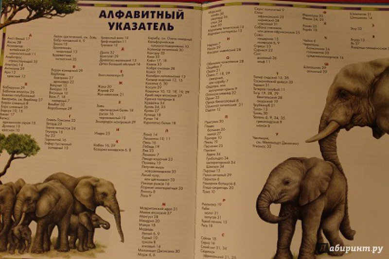 Иллюстрация 46 из 48 для Атлас животного мира | Лабиринт - книги. Источник: Татьяна  Сергеевна
