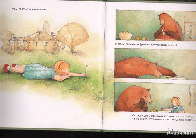 Иллюстрация 35 из 57 для Моди и Медведь - Джен Ормерод | Лабиринт - книги. Источник: Stephanie