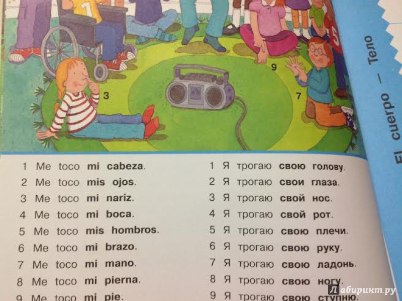 Иллюстрация 7 из 39 для Испанский язык. Спрячь и скажи - Бруццоне, Мартино | Лабиринт - книги. Источник: Sage Tea