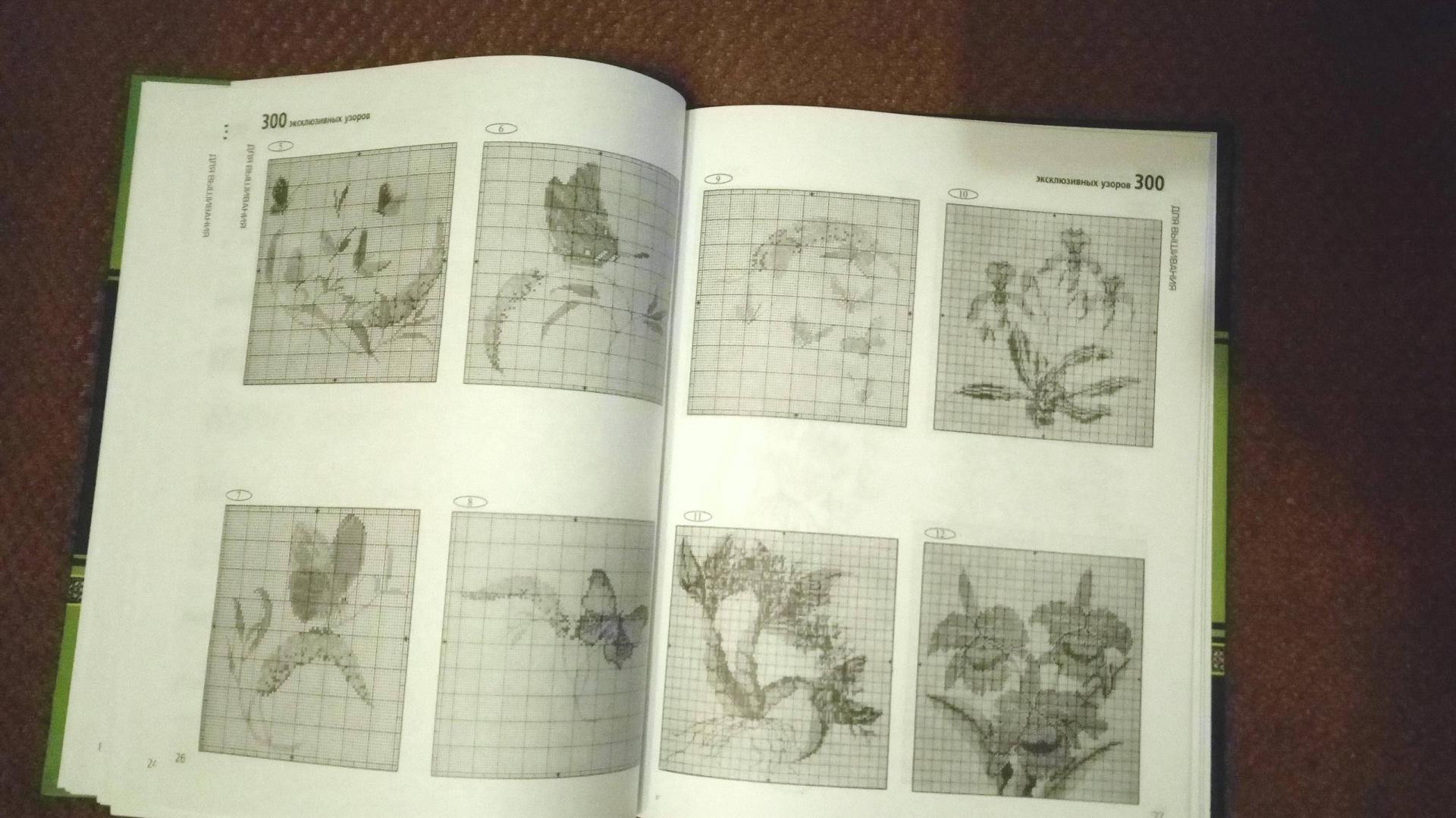 Иллюстрация 17 из 23 для 300 эксклюзивных узоров для вышивания - Глория Вайн | Лабиринт - книги. Источник: Daolia