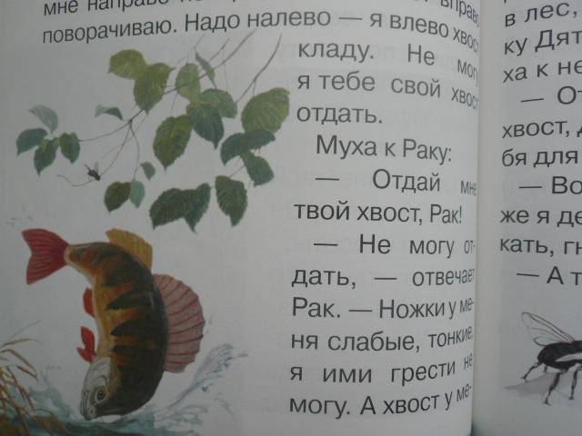 Иллюстрация 23 из 62 для Сказки и рассказы о животных - Виталий Бианки | Лабиринт - книги. Источник: Nadezhda_S
