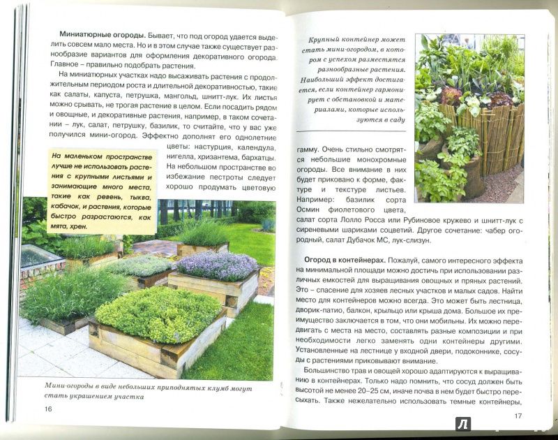Иллюстрация 3 из 17 для Декоративный огород - Ирина Сахарова | Лабиринт - книги. Источник: mayra
