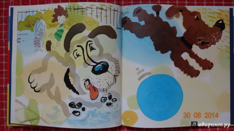 Иллюстрация 15 из 23 для Мяч для Дейзи - Крис Рашка | Лабиринт - книги. Источник: Крутер  Диана Юрьевна