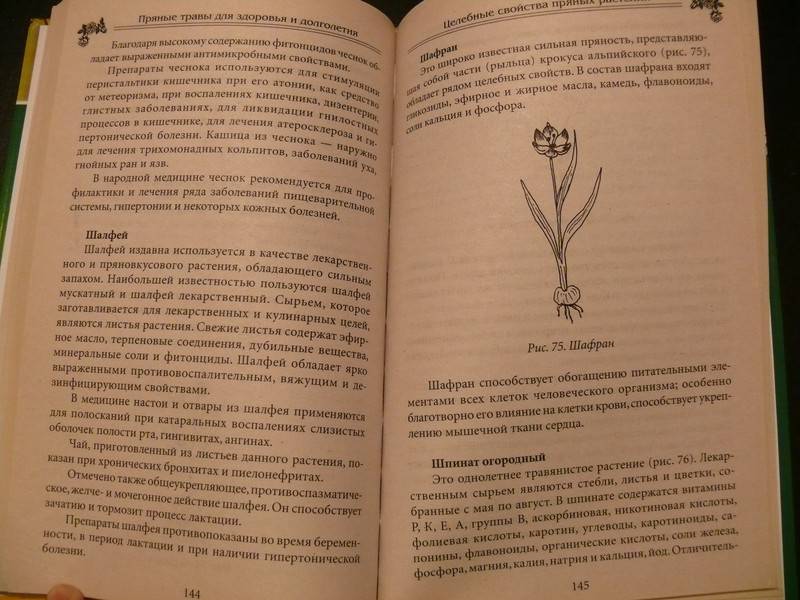 Иллюстрация 6 из 9 для Пряные травы для здоровья и долголетия - Гаврилова, Ионова, Плисов | Лабиринт - книги. Источник: Caelus