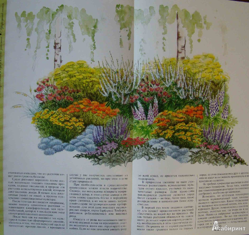 Иллюстрация 9 из 10 для Ландшафтный дизайн вашего участка - Наталия Кузнецова | Лабиринт - книги. Источник: Easy