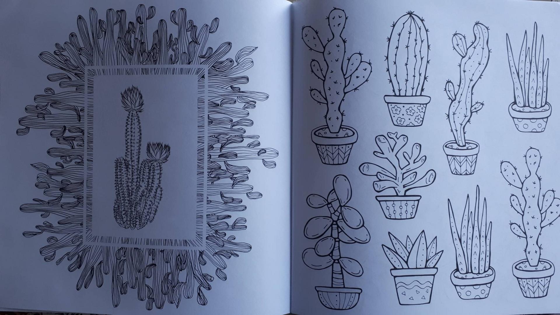 Иллюстрация 41 из 46 для Cactus party. Раскраска-оазис для творчества | Лабиринт - книги. Источник: Alenta  Valenta