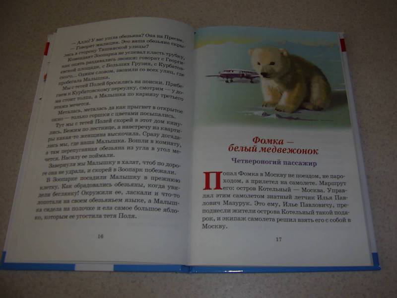 Иллюстрация 27 из 34 для Фомка - белый медвежонок - Вера Чаплина | Лабиринт - книги. Источник: Лилианна