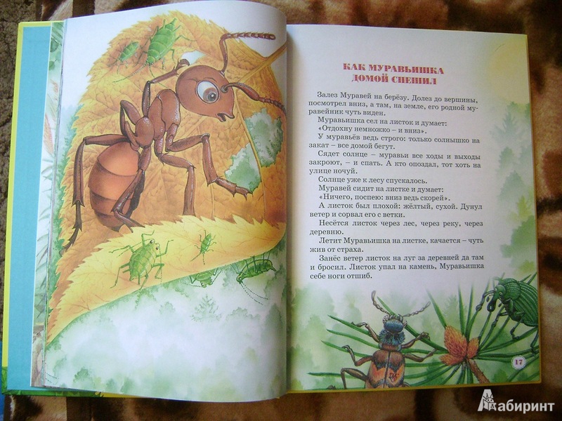 Иллюстрация 5 из 41 для Большая книга сказок - Виталий Бианки | Лабиринт - книги. Источник: Воронина  Елена