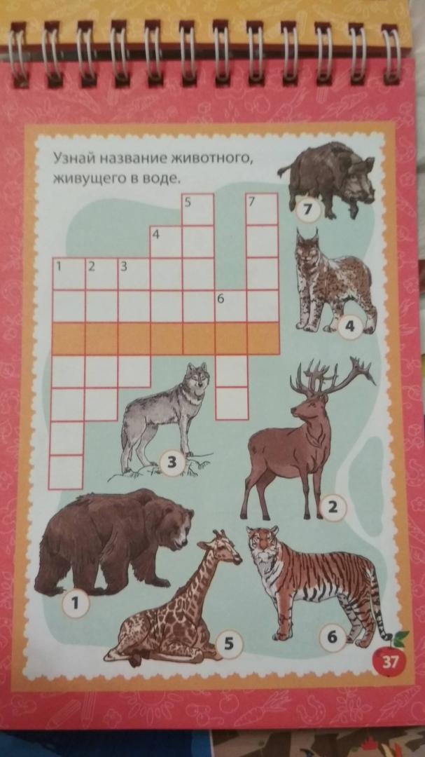 Иллюстрация 3 из 5 для Блокнот занимательных заданий для детей 5-8 лет. Умная лошадка: пазлы, задачки, игры, ребусы | Лабиринт - книги. Источник: Лабиринт