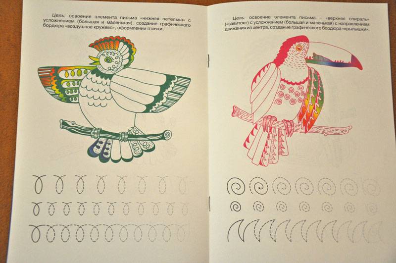 Иллюстрация 5 из 5 для Павлины и "Блины" - Ирина Лыкова | Лабиринт - книги. Источник: Виталий