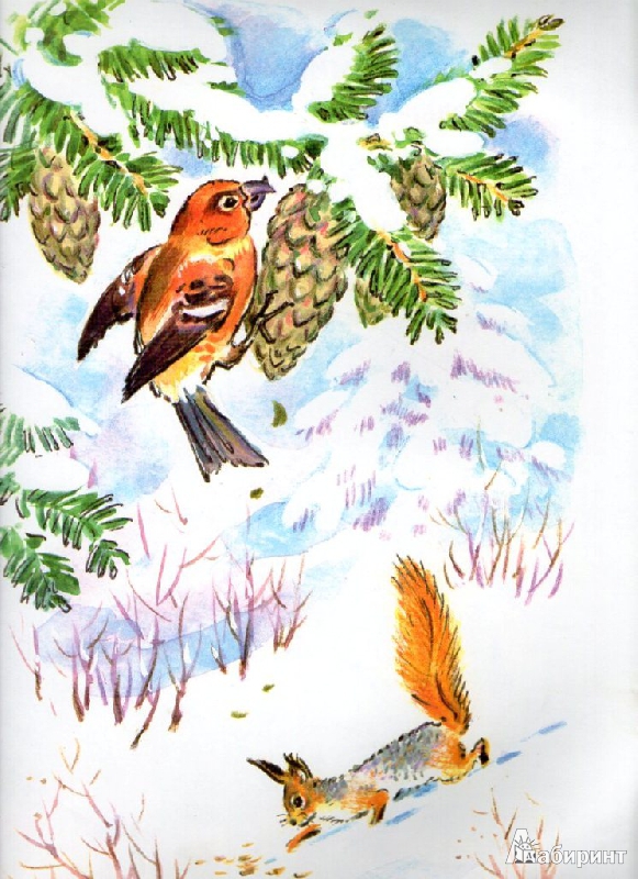 Иллюстрация 7 из 23 для Зимние сказки | Лабиринт - книги. Источник: _Ирина_