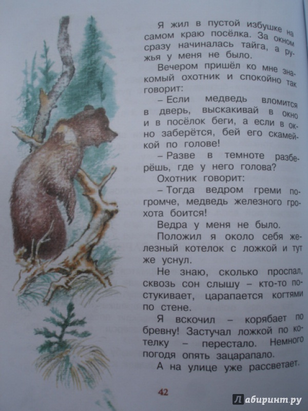 Иллюстрация 34 из 35 для Хитрый Бурундук - Геннадий Снегирев | Лабиринт - книги. Источник: Blackboard_Writer