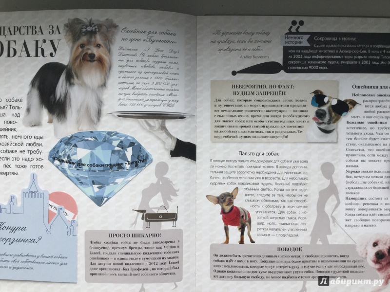 Иллюстрация 14 из 29 для Собаки. Подарок для всех, кто обожает собак - Жан Кювелье | Лабиринт - книги. Источник: Аня Море