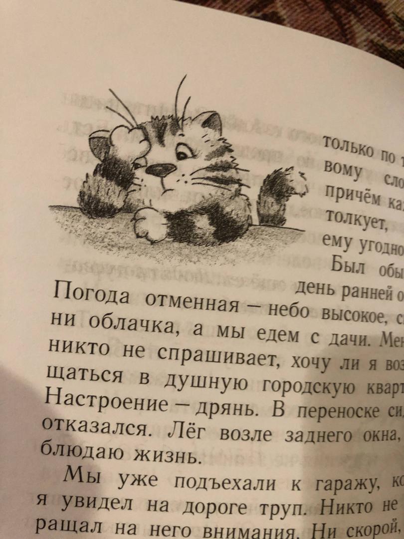Иллюстрация 31 из 32 для Блог кото-сапиенса - Тамара Крюкова | Лабиринт - книги. Источник: Svetok337