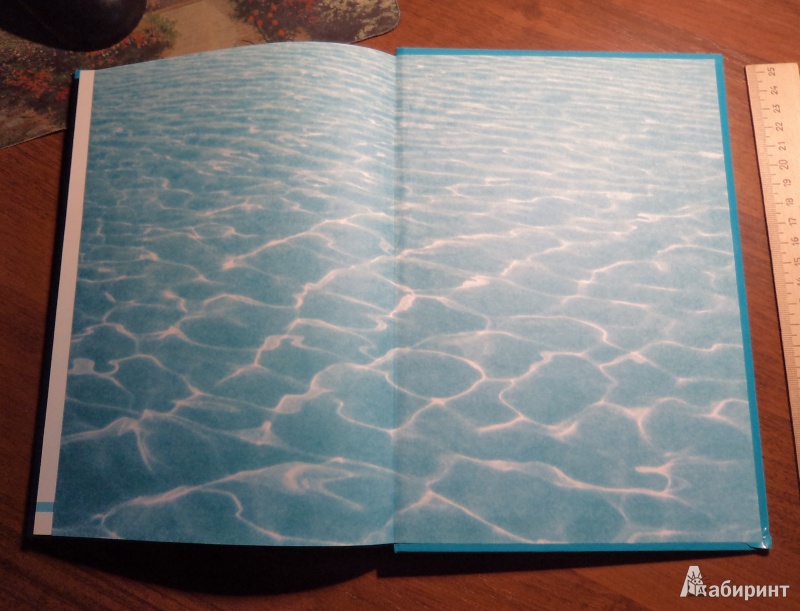 Иллюстрация 20 из 21 для Послания воды: Тайные коды кристаллов льда - Масару Эмото | Лабиринт - книги. Источник: Tina0629