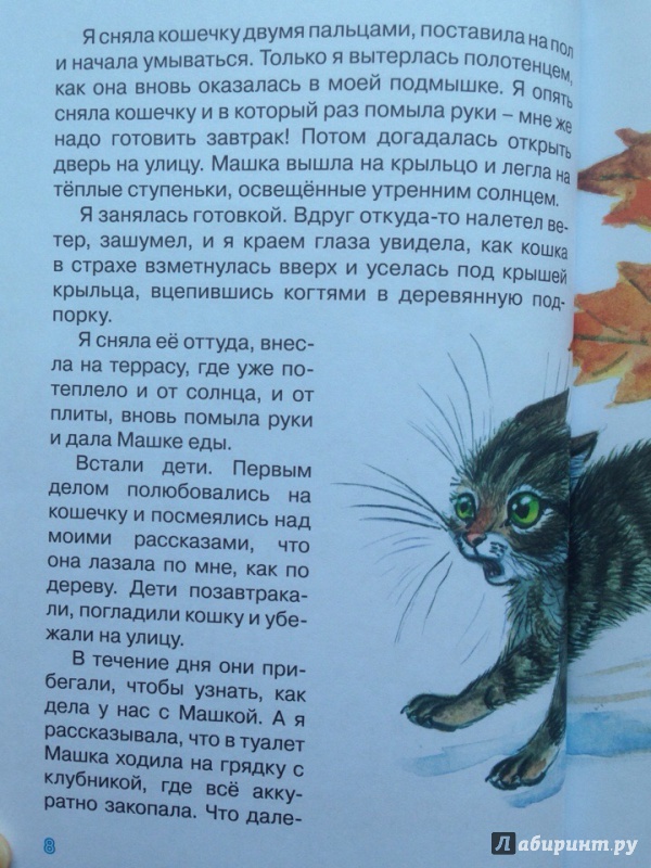 Иллюстрация 6 из 21 для Про кошку Лесю - Светлана Комракова | Лабиринт - книги. Источник: Кузнецова  Ирина