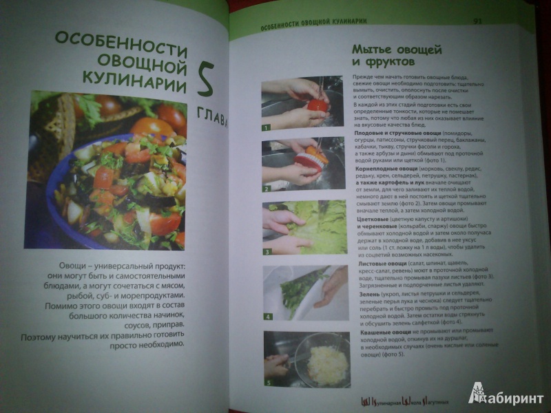 Иллюстрация 4 из 19 для Большая кулинарная книга для начинающих - Светлана Лагутина | Лабиринт - книги. Источник: Holodec25