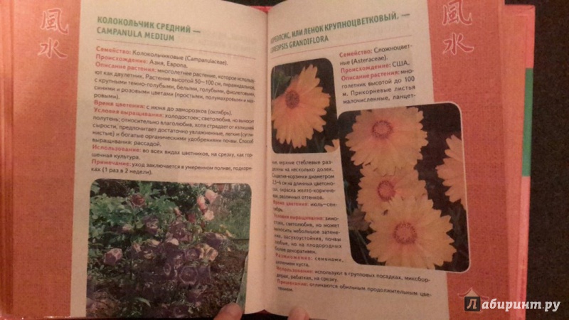 Иллюстрация 18 из 35 для Фэн Шуй. Цветущий сад | Лабиринт - книги. Источник: Lesya_