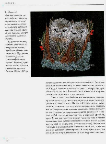 Иллюстрация 5 из 33 для Птицы. Практическое руководство - Хелен Стивенс | Лабиринт - книги. Источник: Galia